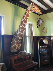 Trophy Room