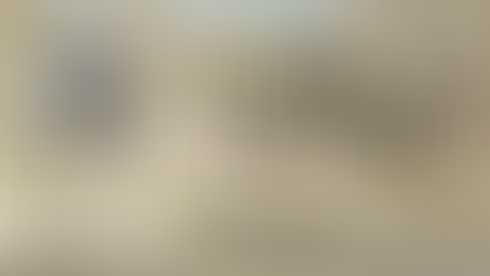 Volunteer Spotlight - December 2024