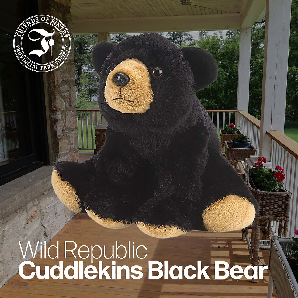 Thumbnail: Wild Republic Black Bear
