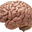 Yazarın fotoğrafı: mentall admin