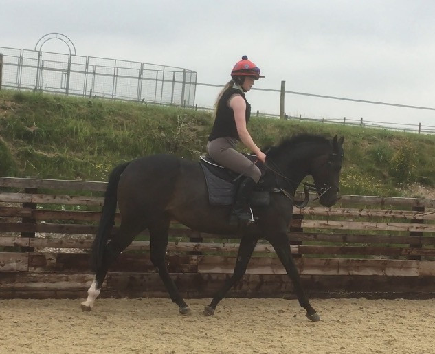 Liddy riding the Oasis Dream 2 year old
