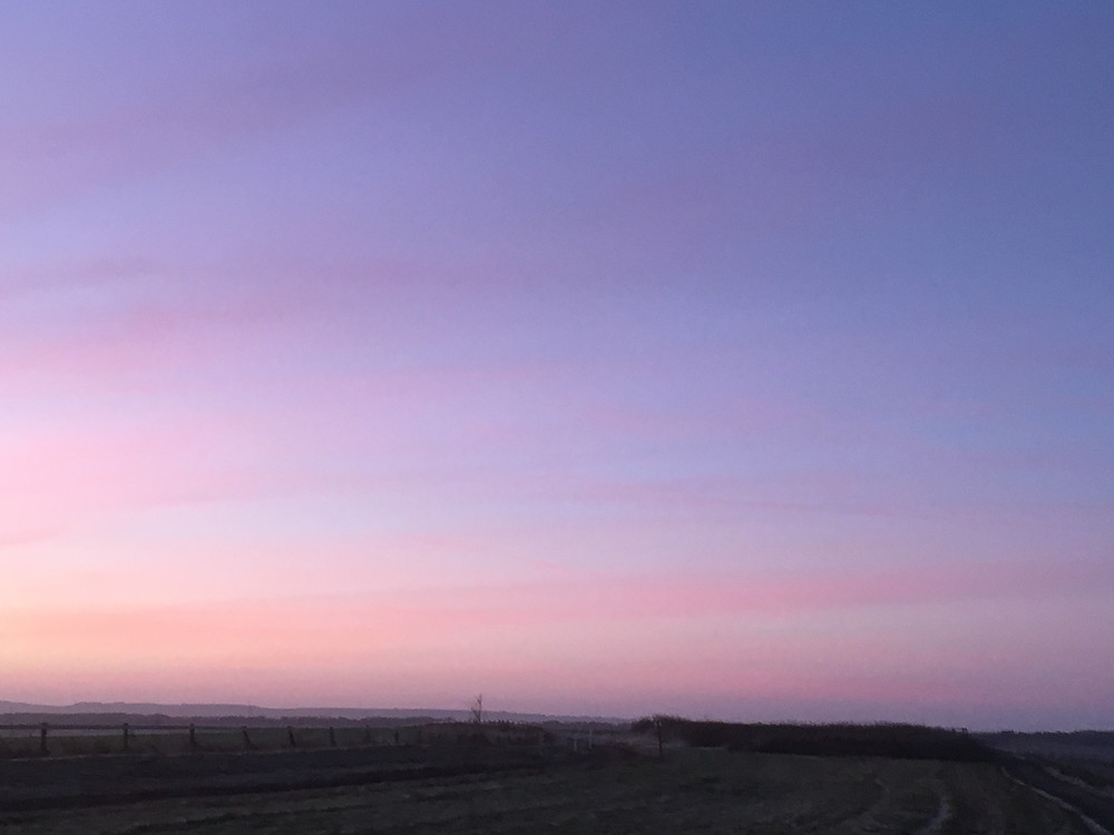 the top of the gallops at sunrise