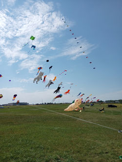 prairie winds kite fly