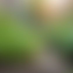 Embracing Sustainable Living for a Greener Future