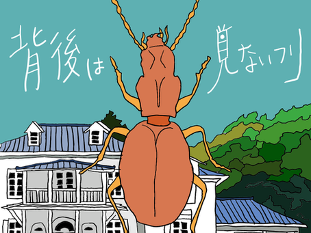 出演情報＃APOFES2026　