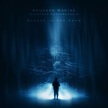 Echoes in the Snow.jpg
