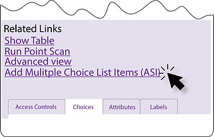 Add-Multiple-Choice-List-Items.png