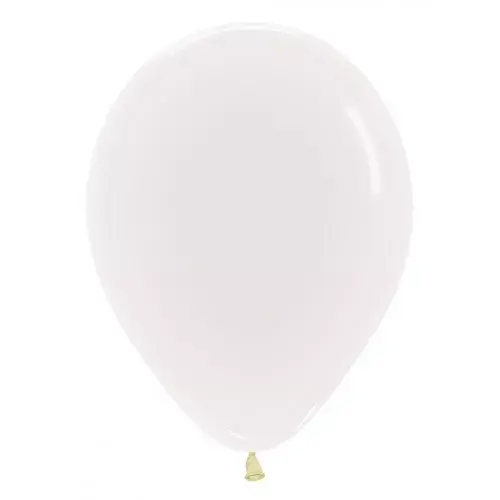 Ballonen doorzichtig (10)