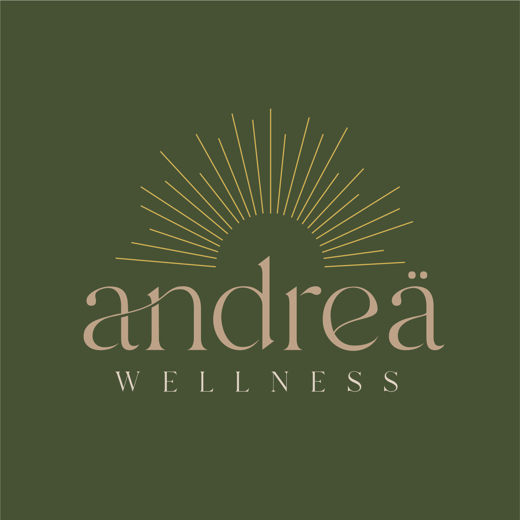Andrea Wellness Panzió in Cserszegtomaj, Hungary