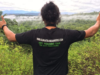 WILD education