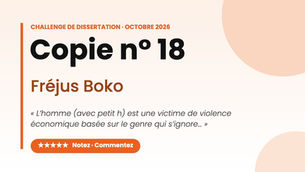 Copie n° 18 — Fréjus Boko