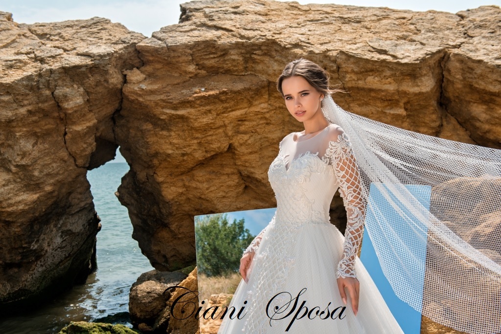 SN-026-PALOMA (1)