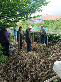 Biodiversity Habitas Workshop May