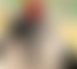 Bringing Your New Puppy Home (12 weeks – 6 months)