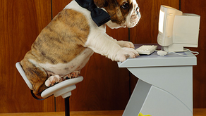 Welcome to our Blog!