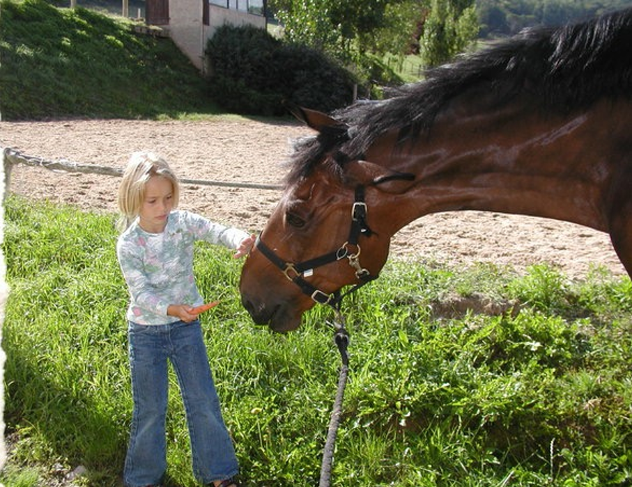 2002