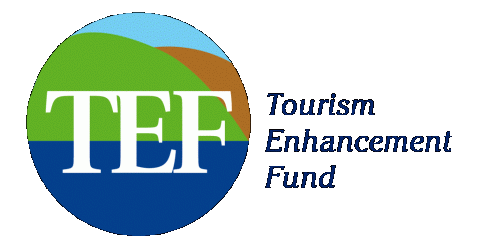 TEF logo