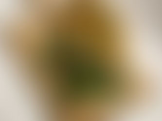 Ελαφριές Τορτίγιες με Γαρίδες & Φρέσκα Αρώματα