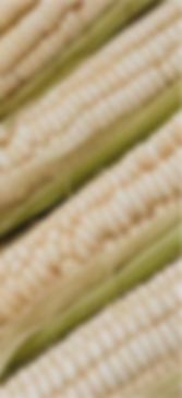 milho.png