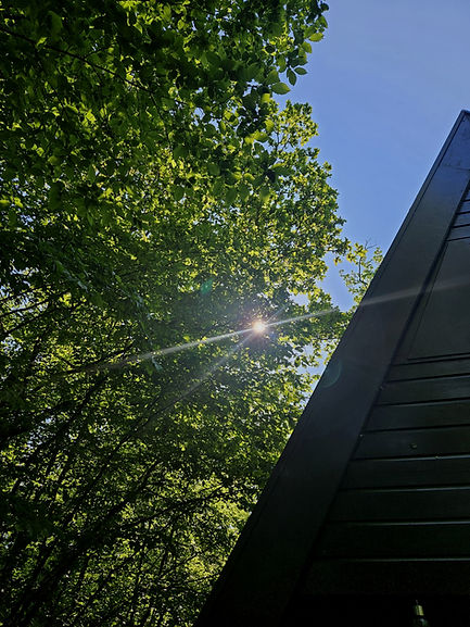 Afbeelding van WhatsApp op 2025-07-07 om 13.51_edited.jpg