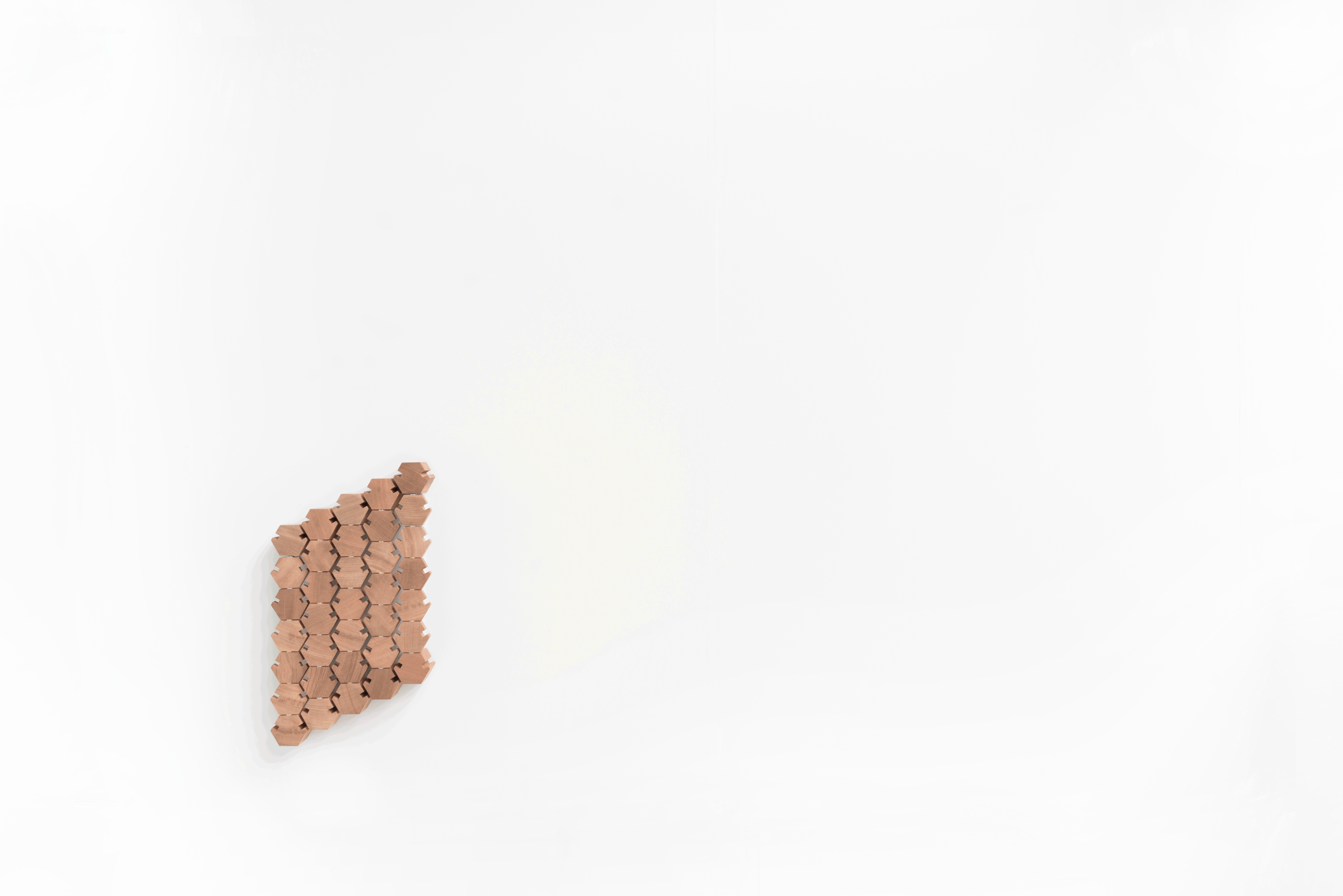 Ruimtebesparende hout kapstok en decoratief object met een speels gebruik.