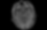 Brain-MR