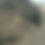 Thumbnail: MILLINGS      ( BY THE TON )