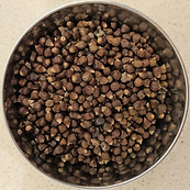 grains-of-paradise.jpg