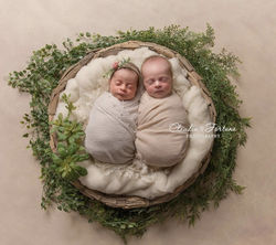 newborn twins photography Montreal,  newborn twins photographer Montreal, newborn twins photography 