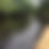Thumbnail: Driftwood