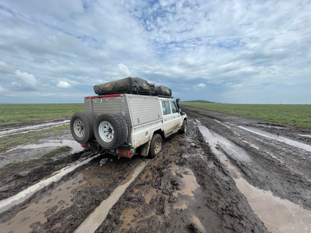 Across the Serengeti