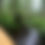 Thumbnail: Driftwood