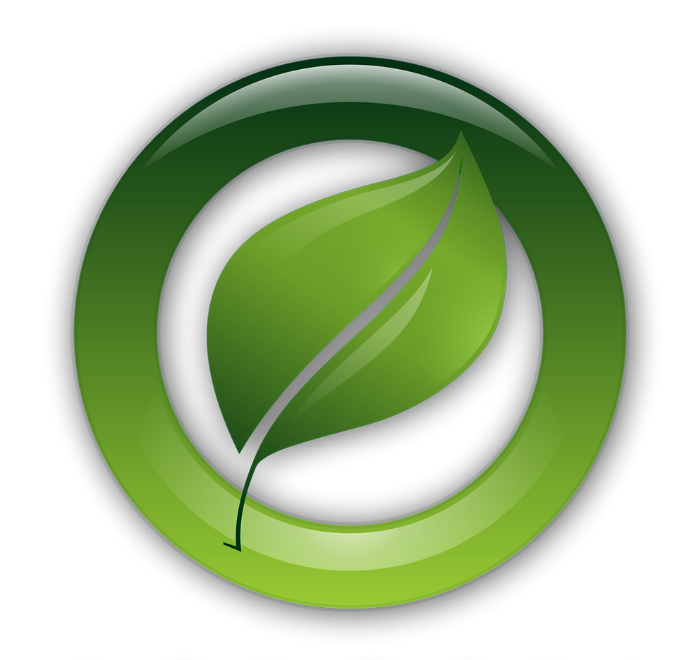 logo.png