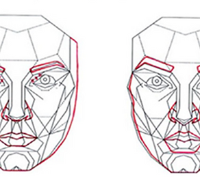 Facial Geometry.PNG