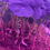 Thumbnail: Nasturtium Jewel Mix