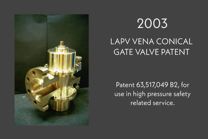 VENA VALVE.jpg