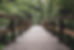 Boardwalk_Unsplash.jpg
