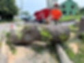 Tree Removal.jpg