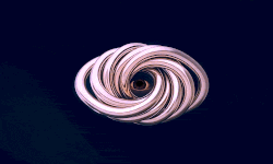 producercardbeforeavideo-ezgif.com-resize (1).gif