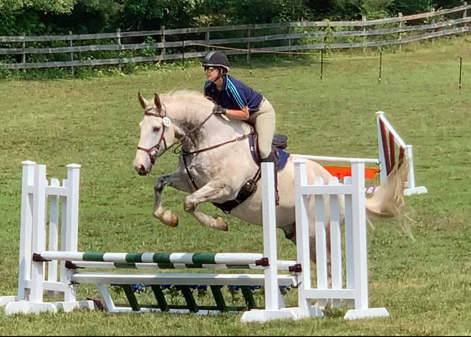Gray Horse Farm Fall CT & Dressage Show