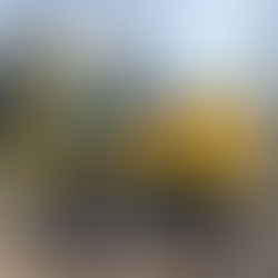 重機・建機のフィルム施工