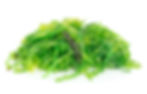 Seaweed Salad