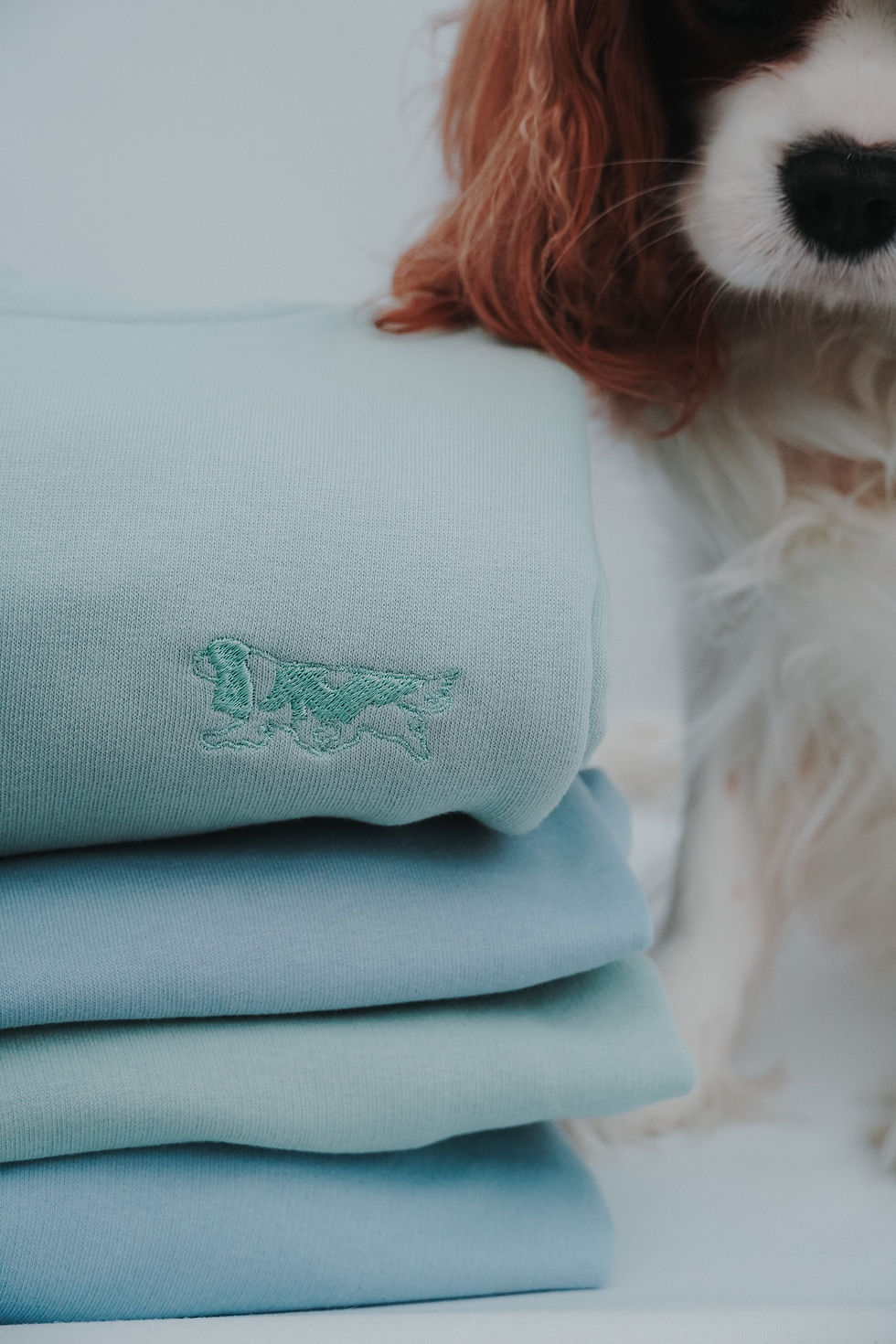 Miniatura: Green Hoodie