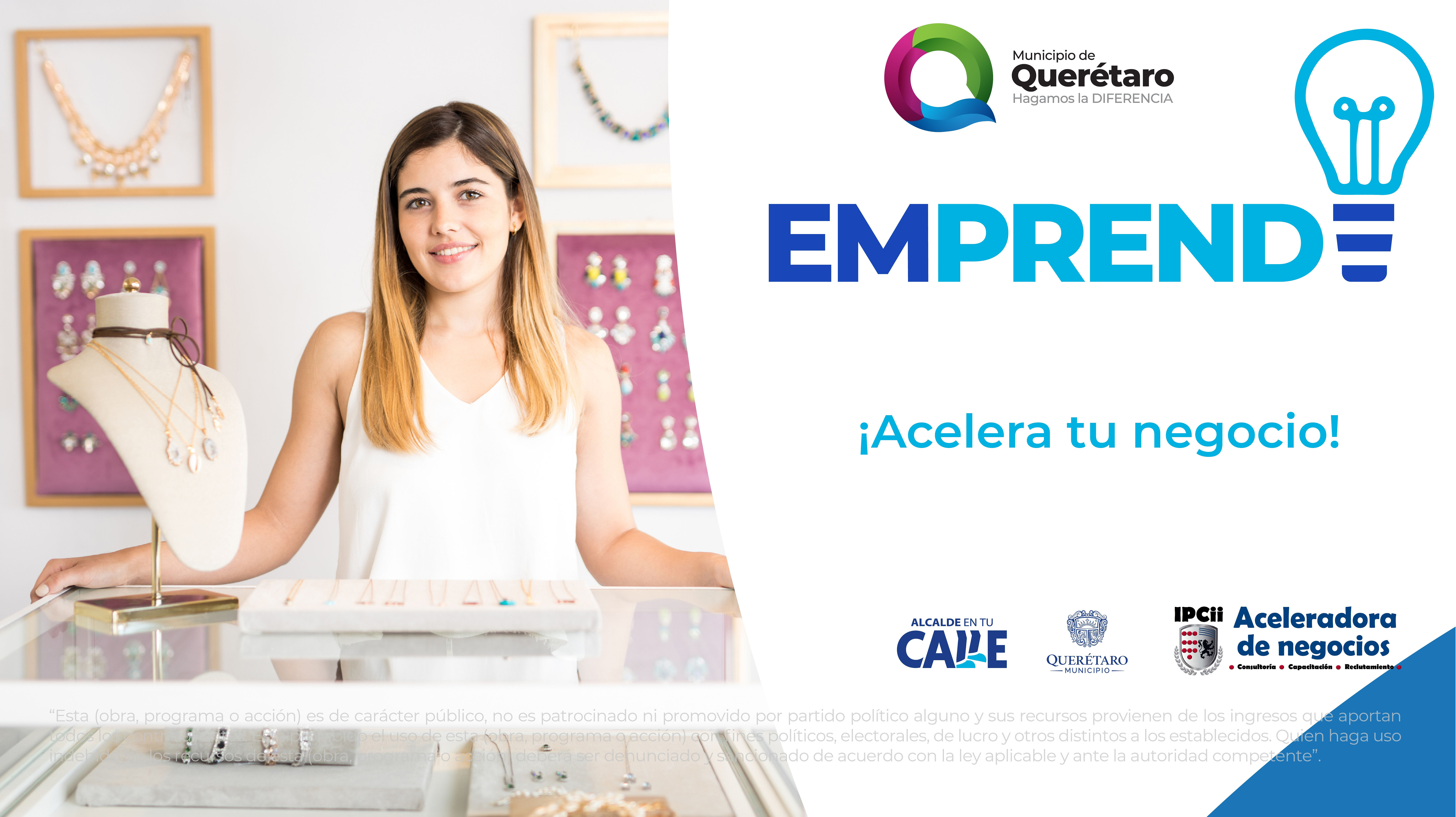 Programa Online Mentoría y capacitación para Acelerar tu negocio Mpio Qro.