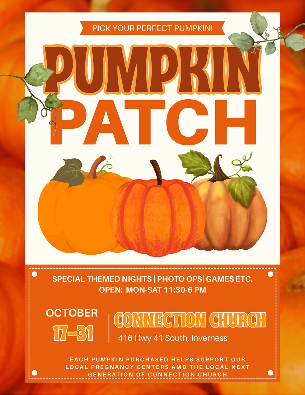 Pumpkin Patch