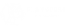 Playverse Logo - White.png