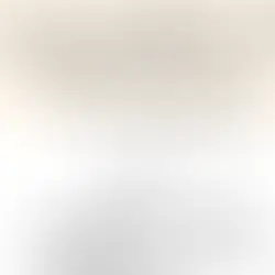 インターンシップを導入することが企業にもたらすメリット──“育てる文化”の第一歩