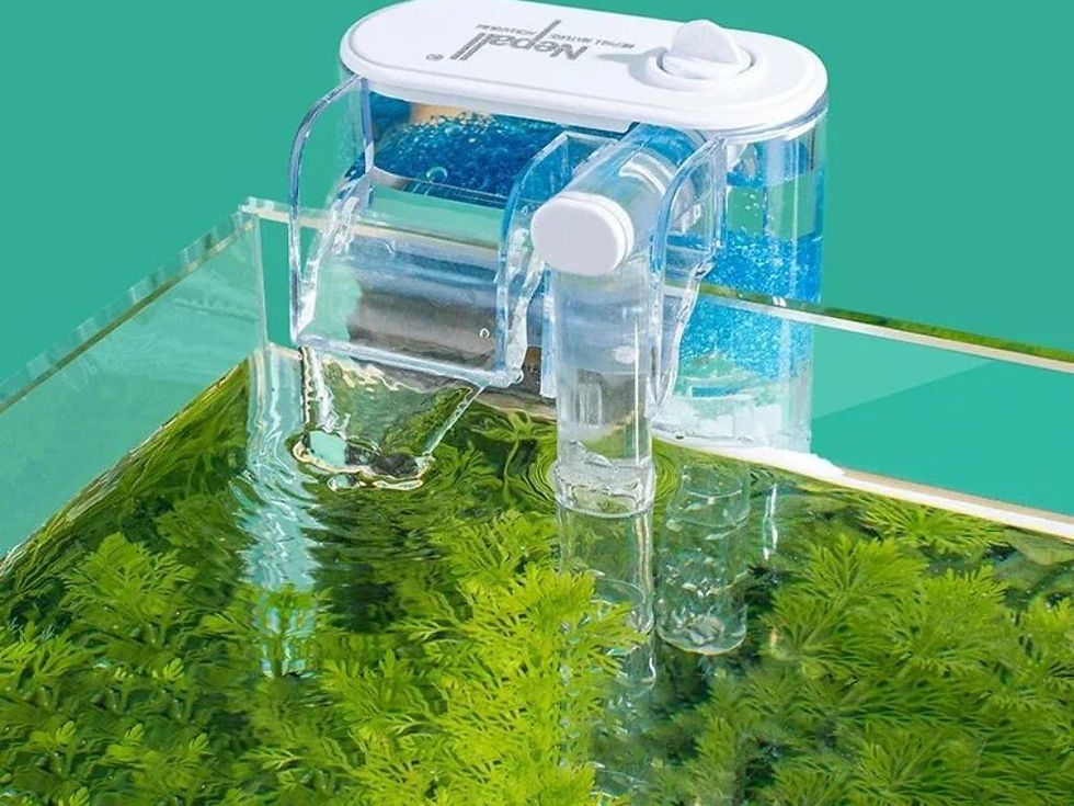 ree