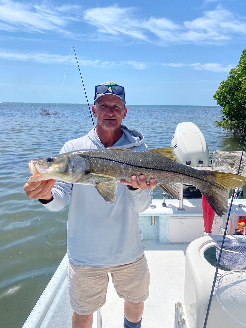 Guest holding a snook during a Bushline Fishing Charter trip.