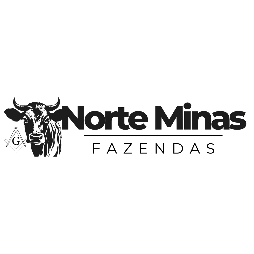Logotipo empresa marketing digital moderno preto e amarelo (3).png